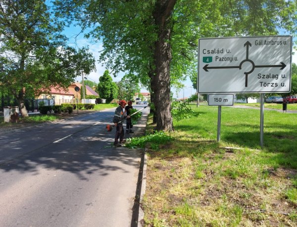 A Család utcán végzett favágási munkálatokat a NYÍRVV, a város több pontján is dolgoznak