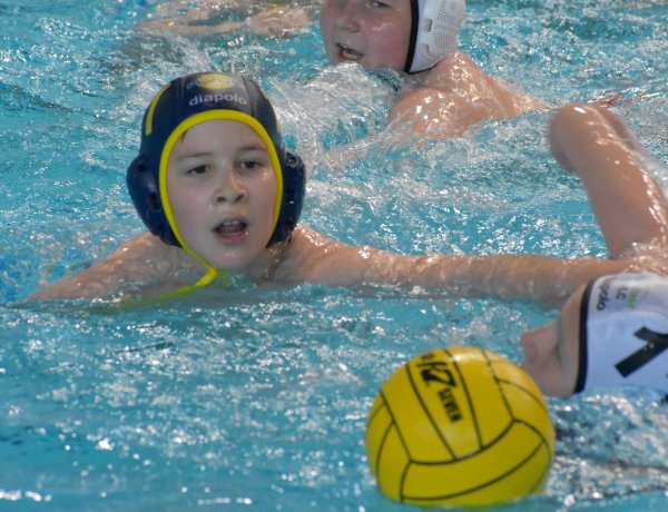 Medencében a Babyk - az Aqua SE két csapata is részt vesz a bajnokságban                  