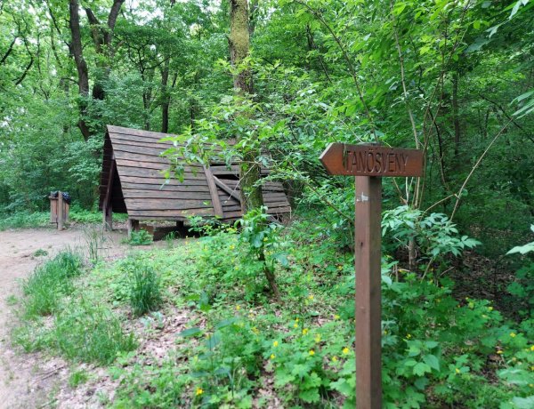 Esőházat és tájékoztató táblát rongáltak meg ismeretlen tettesek a Sóstói Parkerdőben