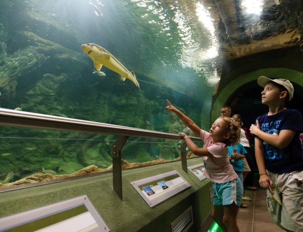 Erős pünkösdi hétvégére számítanak a turizmusban                              