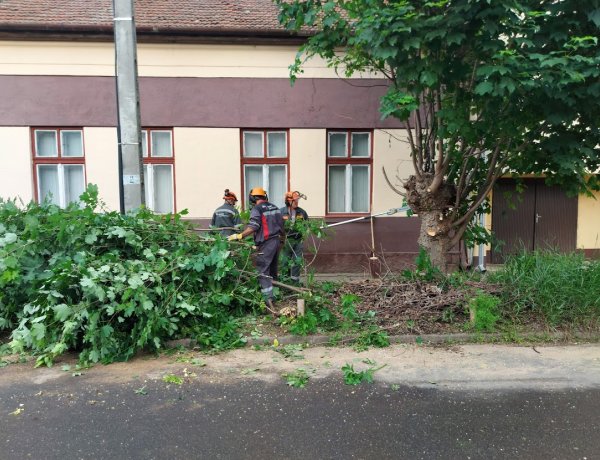 Forgalomkorlátozás mellett dolgoztak a NYÍRVV munkatársai a Liszt Ferenc utcán