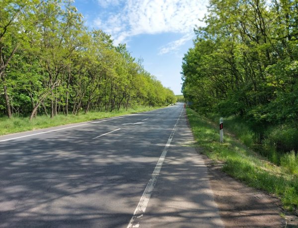 Vadgázolás történt a Sóstói úton                                        