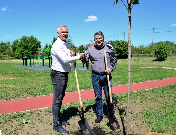 Újabb faültetés Nyíregyházán – 55 darab fát ültettek az új nyírszőlősi kondipark mellett