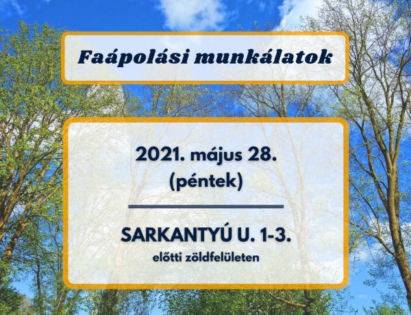 Faápolási munkálatokat végeznek a NYÍRVV szakemberei pénteken a Sarkantyú utcán