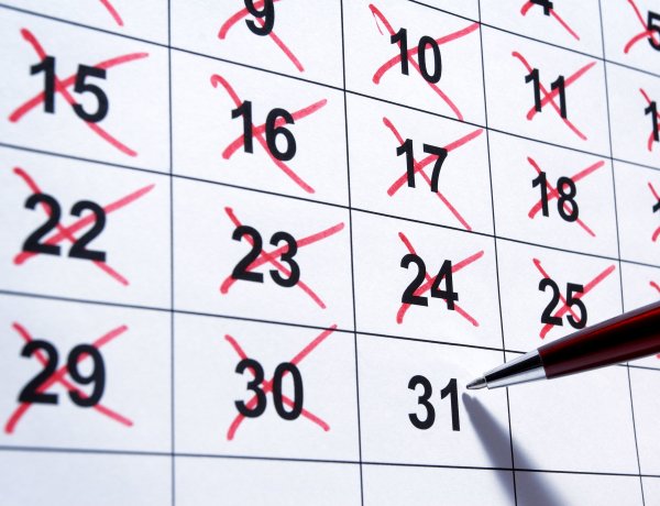 HIPA bevallás 2021-ben – Ebben az évben is május 31-e a határidő