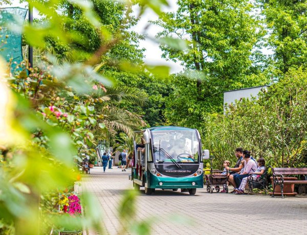 Péntektől vasárnapig ingyenes akadálypályával várja a látogatókat a Nyíregyházi Állatpark