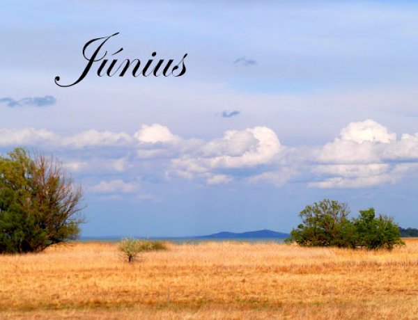 Népi hagyományok, hiedelmek júniusban! Medárdtól Péter és Pál napjáig!