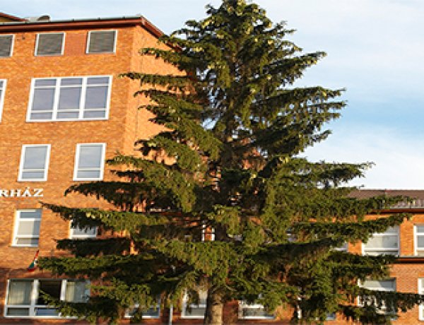 Újraindul a fekvőbeteg-ellátás a Fehérgyarmati Kórházban              