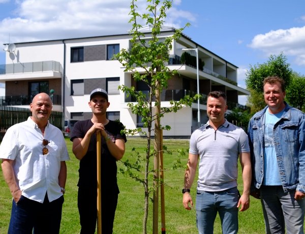 Puskás Peti a Bujtosi Városligetben egy kanadai ámbrafát ültetett
