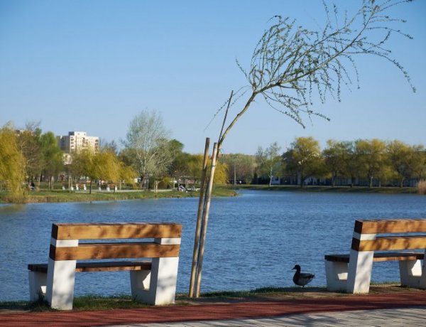 "Hétpróbás kocogás" a Bujtosi-tó körül, a FIFOT Egyesület szervezésében