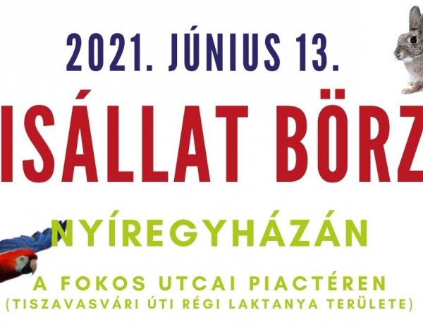 Június 13-án ismét megnyitja kapuit a kisállat börze a Fokos utcai piactéren