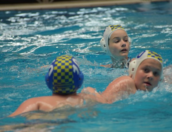 Sikeres szezon - Több csapata is dobogós lett az Aqua SE-nek                              