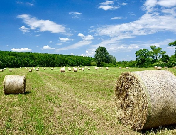 Néhány megyében zivatarok zavarhatják meg a nyári napsütést 