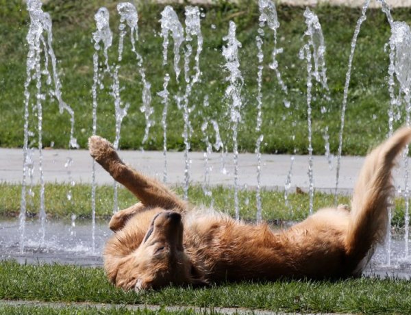 Mikor jön a kánikula? - Érkezik az év első tartós hőhulláma 