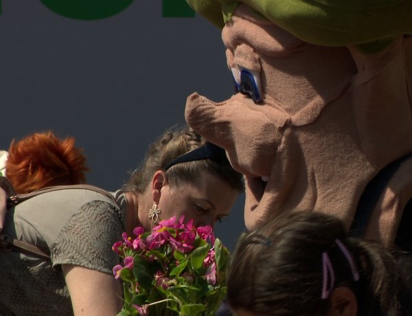 Virágültetés Lomb Botonddal – A nyertes óvodás csoport a Nagy Imre téren szorgoskodott