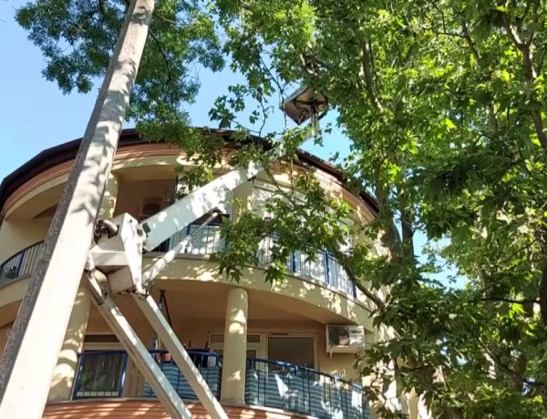 A Vasvári Pál utcán a platánfák gallyazási munkálatait végezték a NYÍRVV szakemberei 