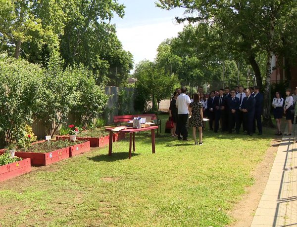 Gyógynövénykertet alakítottak ki a Zrínyiben                