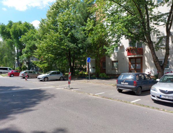 Az Erdő soron fák ápolását végezték a NYÍRVV szakemberei    