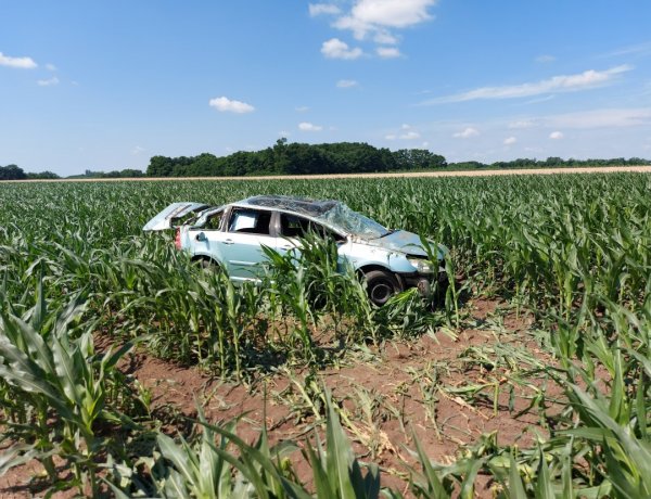Letért az úttestről, kukoricaföldre csapódott majd felborult egy jármű