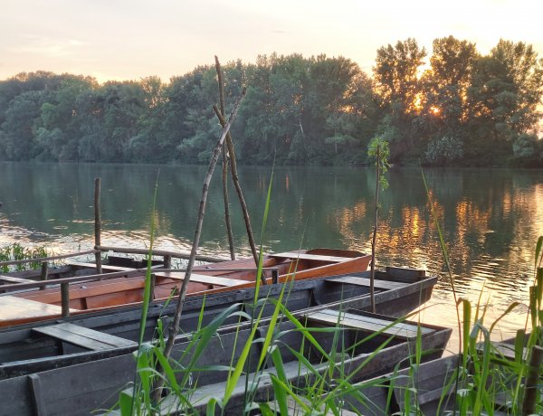 Páratlan természeti csoda: kezdődik a tiszavirágzás, a kérészek tömeges násztánca!