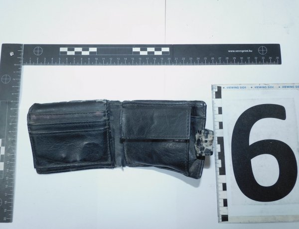 Harmincnégy lopás két hónap alatt                            