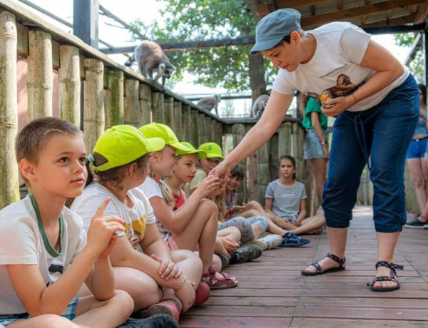 Zoo Suli – Óriási az érdeklődés, idén a négyszáz hely mindössze egy óra alatt betelt