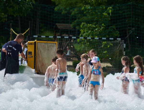 Idén nyáron is megnyitotta kapuit a Zöld Liget Nyári Tábor                    