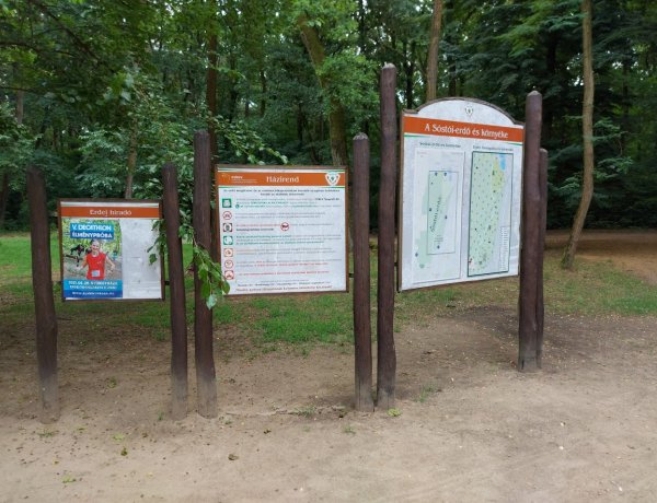 Helyreállította a hétvégi károkat a Nyírerdő és a NYÍRVV a Sóstói-erdőben