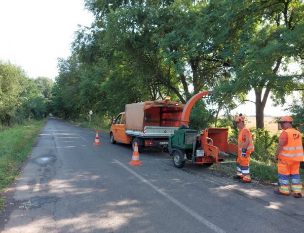 Balesetveszélyes faágakat vág a Magyar Közút Nagycserkesz és Nyírtelek között