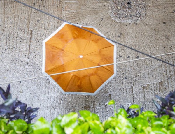 Semmikképp nem hagyhatjuk otthon az esernyőt                   