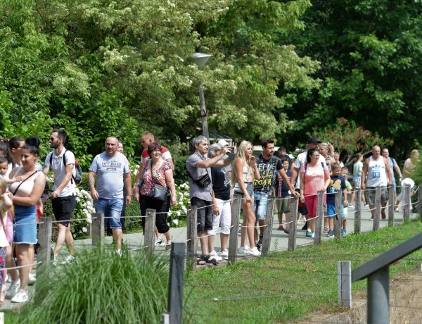 Családi nap az állatkertben – A szociális szférában dolgozók munkáját köszönték meg 