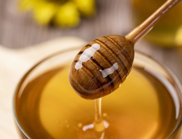 Áremelkedés – Akár 20 százalékkal is drágulhat a méz ára idén