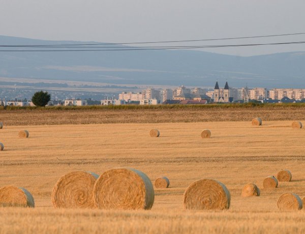 Visszafogottabb arcát mutatja a nyár a következő napokban                   