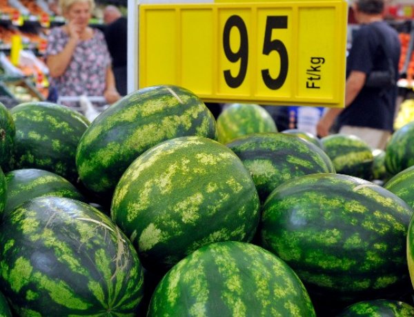 Elkezdődött a magyar dinnye szezonja, kiváló minőségű a termés