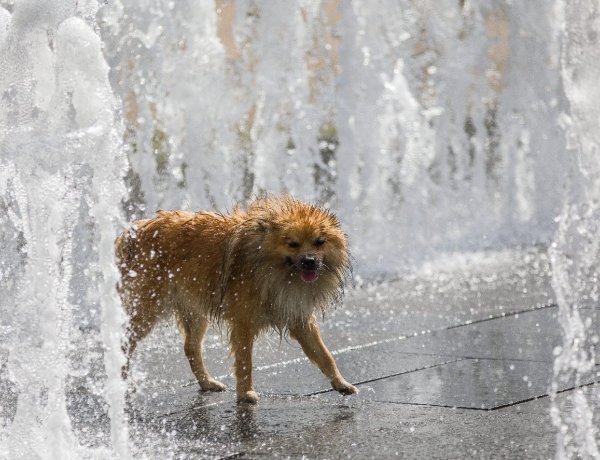 Szerdára is tikkasztó kánikulára figyelmeztet a meteorológiai szolgálat