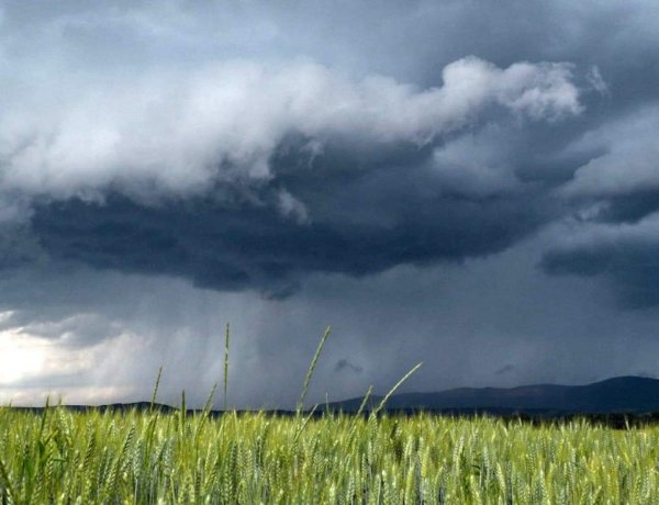 Zivatarok hozhatnak felfrissülést a mai napon                        