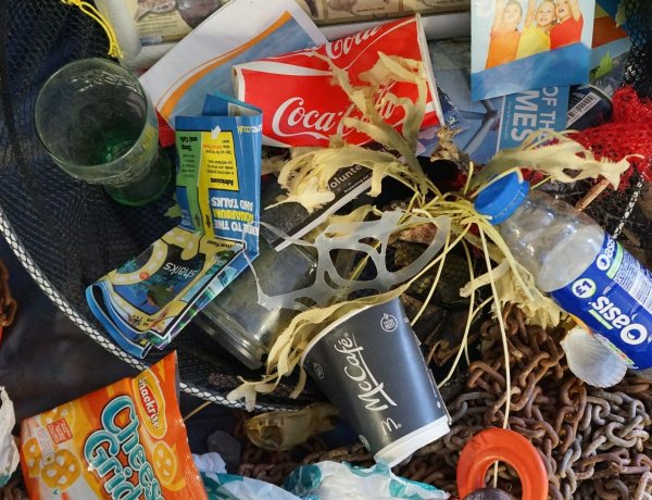 Hulladékgyűjtési akcióra hívnak a diákok                             