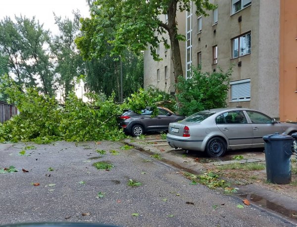 Nyíregyházát is elérte a vihar - Fák dőltek az utcákra! Fotók és videók!