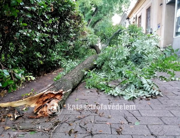 Friss tájékoztatás érkezett a Katasztrófavédelemtől: viharkárok megyénkben