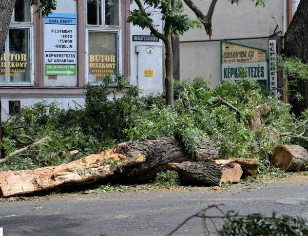 Vihar – Jelentős károkat okozott a vasárnapi vihar                           