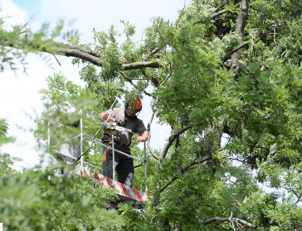 Még hétfőn is nagy erőkkel dolgoztak a hivatásos, önkormányzati és önkéntes tűzoltók