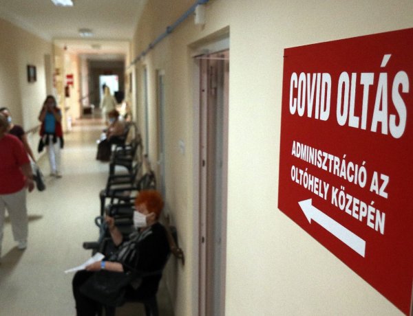 Magyarország sikeres járványkezelését dicsérik Japánban     