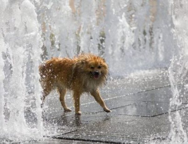 Zivatarok frissítik fel a levegőt vasárnap                                       