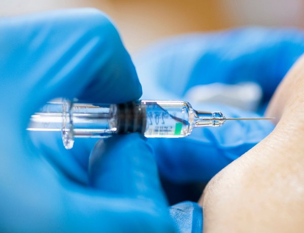 Ekkor éri el a csúcsát az ellenanyagszint az oltás után                    