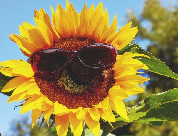 Sok napsütésre van kilátás a front mögött hétfőn            