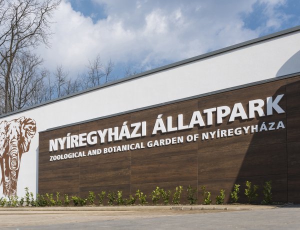 Egyre több a látogató a Nyíregyházi Állatparkban                                          