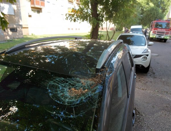 Parkoló személyautóra zuhant egy szilfa vezérága a Holló utcán                