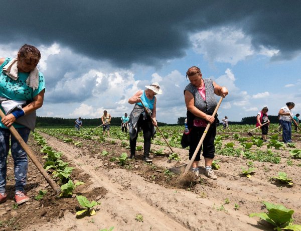 Újabb lépés a 200 ezres minimálbér felé - Parragh szerint a magyar gazdaság készen áll