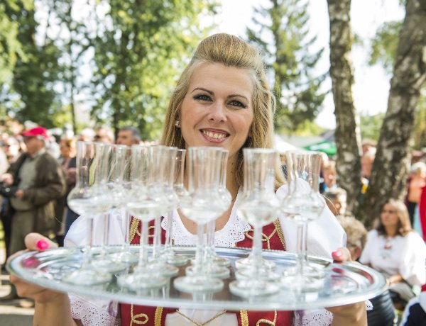 Elvitte a gyümölcs javát a fagy és a viharok, ellenőrzik a magyar pálinka minőségét