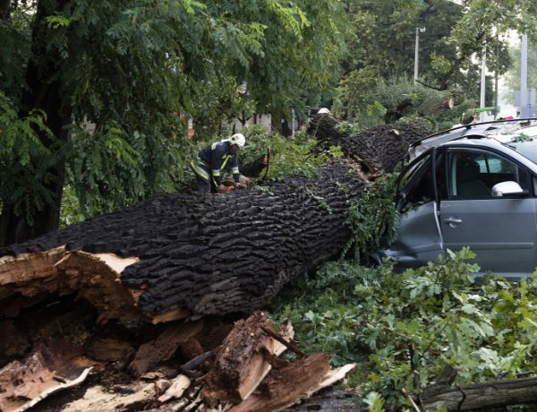 Viharok: összefogott a megye, önkéntesek is segítettek                  